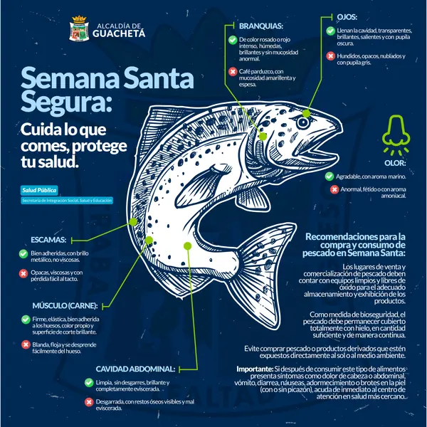 Semana Santa segura: guía para comprar pescado · Alcaldía de Guachetá