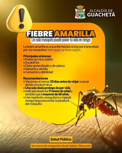Campaña contra la fiebre amarilla · Alcaldía de Guachetá